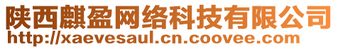 陜西麒盈網(wǎng)絡(luò)科技有限公司