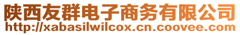 陜西友群電子商務有限公司