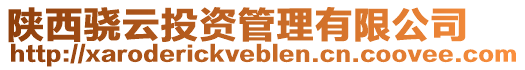陜西驍云投資管理有限公司