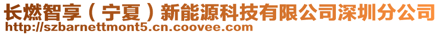 長燃智享(寧夏)新能源科技有限公司深圳分公司