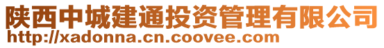 陜西中城建通投資管理有限公司