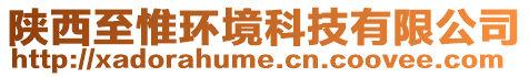 陜西至惟環境科技有限公司