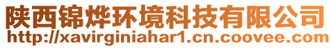 陜西錦燁環境科技有限公司