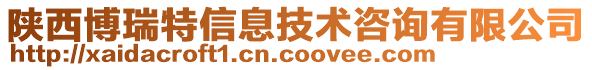 陜西博瑞特信息技術(shù)咨詢有限公司