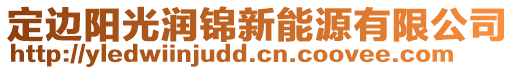 定邊陽光潤錦新能源有限公司