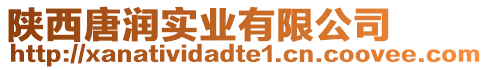 陜西唐潤實業(yè)有限公司