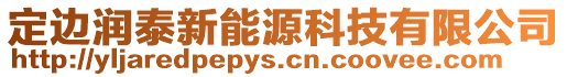 定邊潤泰新能源科技有限公司