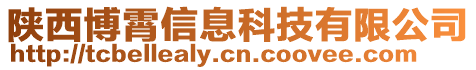 陜西博霄信息科技有限公司