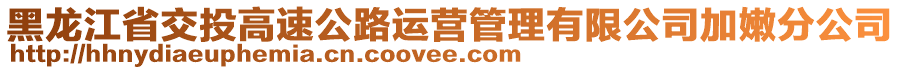 黑龍江省交投高速公路運營管理有限公司加嫩分公司