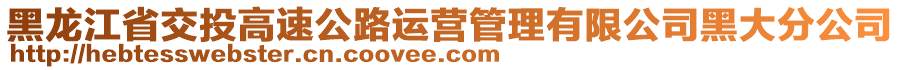 黑龍江省交投高速公路運營管理有限公司黑大分公司