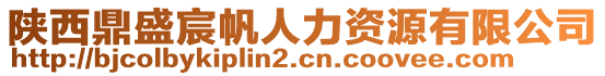 陜西鼎盛宸帆人力資源有限公司