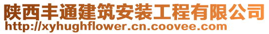 陜西豐通建筑安裝工程有限公司