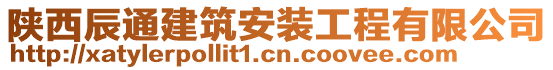 陜西辰通建筑安裝工程有限公司