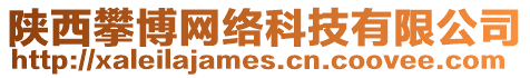 陜西攀博網(wǎng)絡(luò)科技有限公司