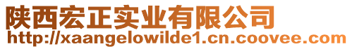 陜西宏正實(shí)業(yè)有限公司