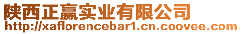 陜西正贏實業(yè)有限公司