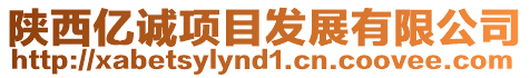 陜西億誠項目發展有限公司