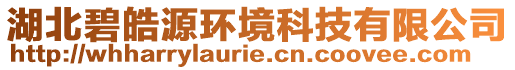 湖北碧皓源環(huán)境科技有限公司