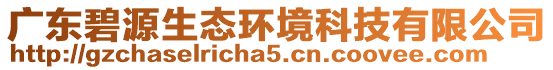 廣東碧源生態(tài)環(huán)境科技有限公司