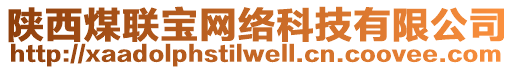 陜西煤聯(lián)寶網(wǎng)絡(luò)科技有限公司