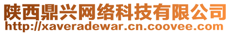 陜西鼎興網(wǎng)絡(luò)科技有限公司