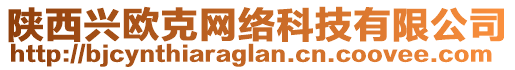 陜西興歐克網(wǎng)絡(luò)科技有限公司