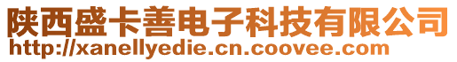 陕西盛卡善电子科技有限公司