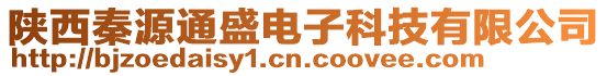 陜西秦源通盛電子科技有限公司