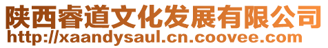 陜西睿道文化發展有限公司