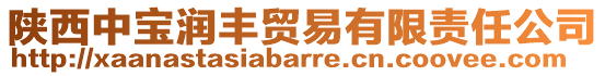 陜西中寶潤(rùn)豐貿(mào)易有限責(zé)任公司