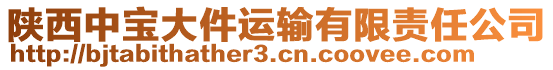 陜西中寶大件運輸有限責任公司