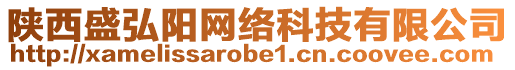 陜西盛弘陽(yáng)網(wǎng)絡(luò)科技有限公司