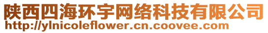 陕西四海环宇网络科技有限公司