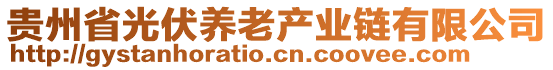 贵州省光伏养老产业链有限公司