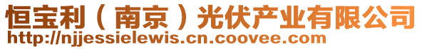 恒寶利（南京）光伏產(chǎn)業(yè)有限公司