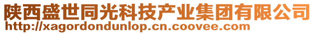 陜西盛世同光科技產(chǎn)業(yè)集團有限公司