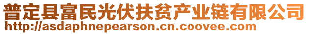 普定縣富民光伏扶貧產業(yè)鏈有限公司