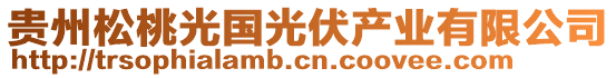 貴州松桃光國光伏產(chǎn)業(yè)有限公司