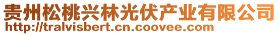 贵州松桃兴林光伏产业有限公司