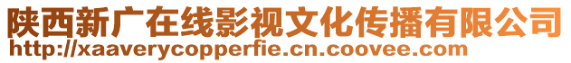 陜西新廣在線影視文化傳播有限公司