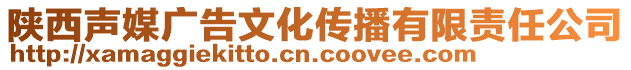 陕西声媒广告文化传播有限责任公司