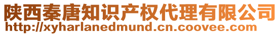 陜西秦唐知識產權代理有限公司