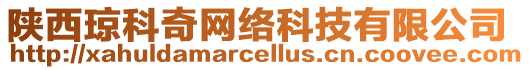 陜西瓊科奇網絡科技有限公司
