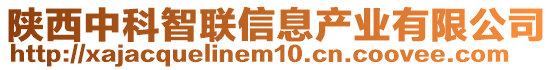 陜西中科智聯信息產業有限公司