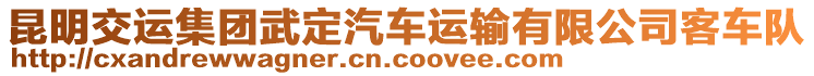 昆明交運集團武定汽車運輸有限公司客車隊