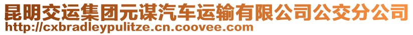 昆明交運(yùn)集團(tuán)元謀汽車運(yùn)輸有限公司公交分公司