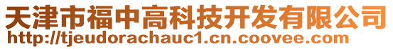 天津市福中高科技開發(fā)有限公司