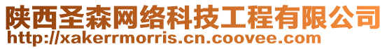 陜西圣森網(wǎng)絡(luò)科技工程有限公司