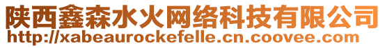 陜西鑫森水火網(wǎng)絡(luò)科技有限公司