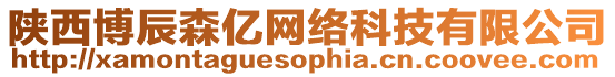 陜西博辰森億網絡科技有限公司